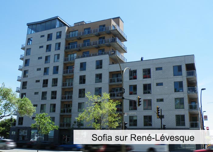Sofia sur René-Lévesque Condos Appartements